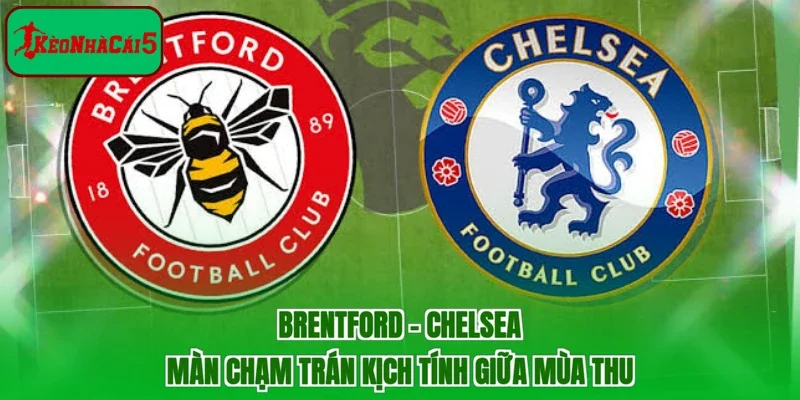Brentford - Chelsea | Màn Chạm Trán Kịch Tính Giữa Mùa Thu