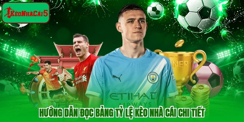 Hướng dẫn đọc bảng tỷ lệ kèo nhà cái chi tiết