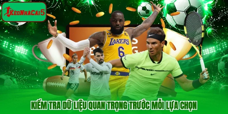 Kiểm tra dữ liệu quan trọng trước mỗi lựa chọn