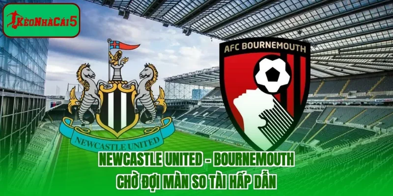 Newcastle United - Bournemouth | Chờ Đợi Màn So Tài Hấp Dẫn