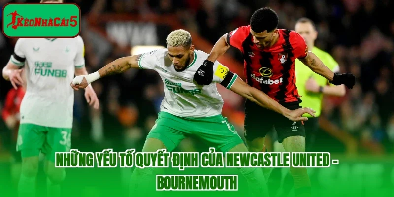 Những yếu tố quyết định của Newcastle United - Bournemouth 