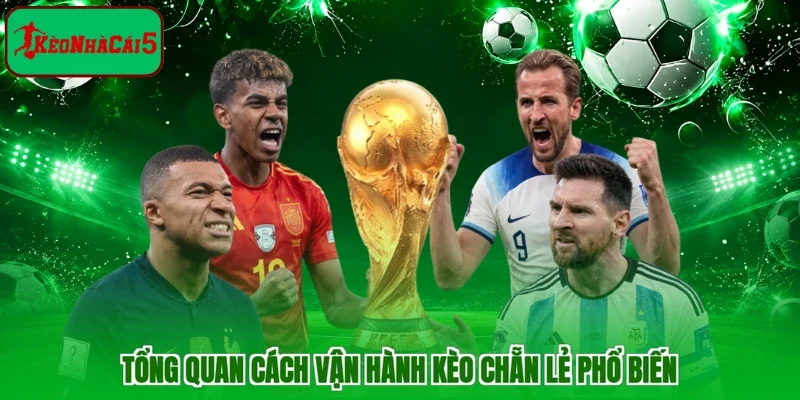 Tổng quan cách vận hành kèo chẵn lẻ phổ biến
