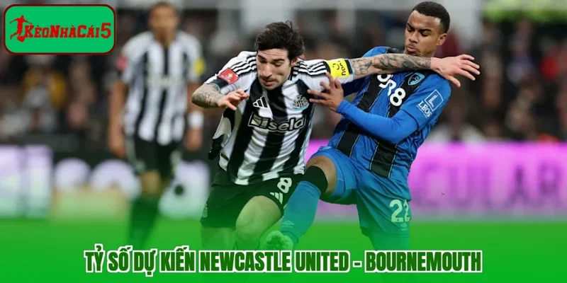 Tỷ số dự kiến Newcastle United - Bournemouth